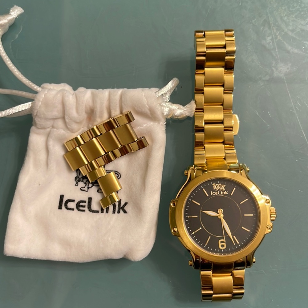 Icelink watch